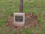 image of grave number 931287